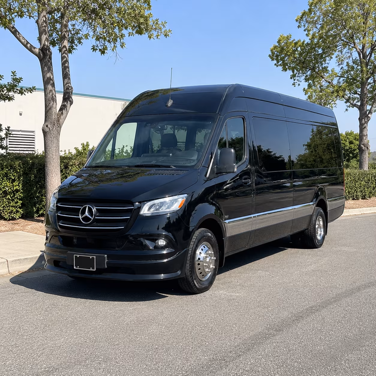explore finger lakes wine country on a sprinter van tour from rochester