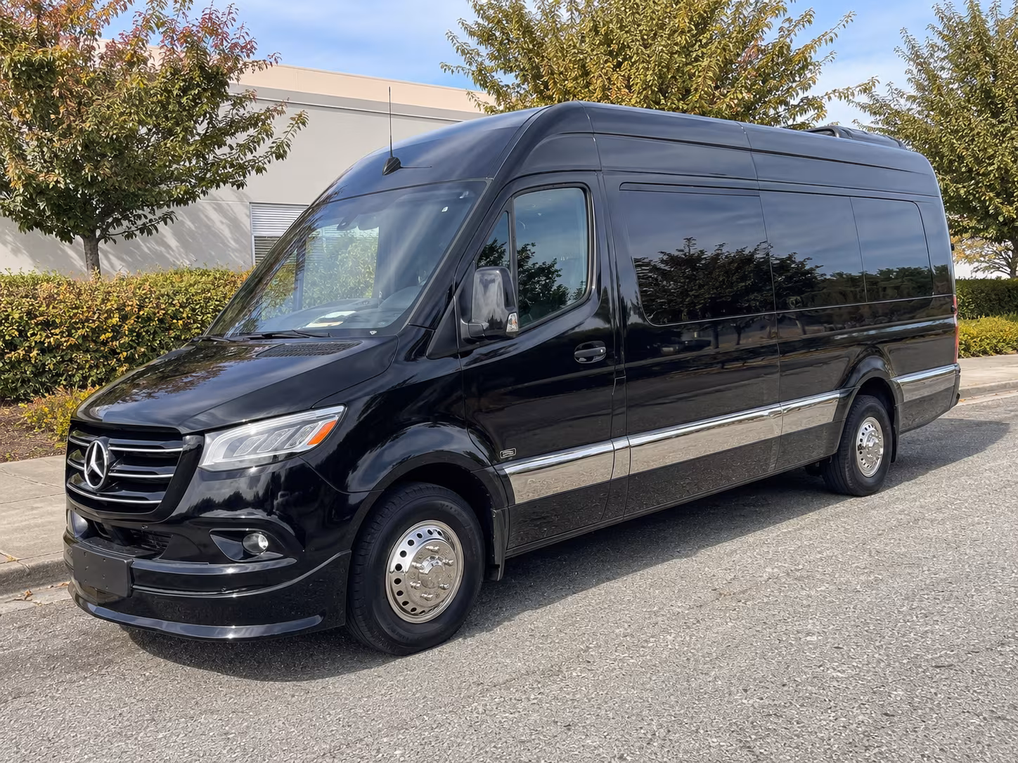 rochester 12 passenger sprinter van