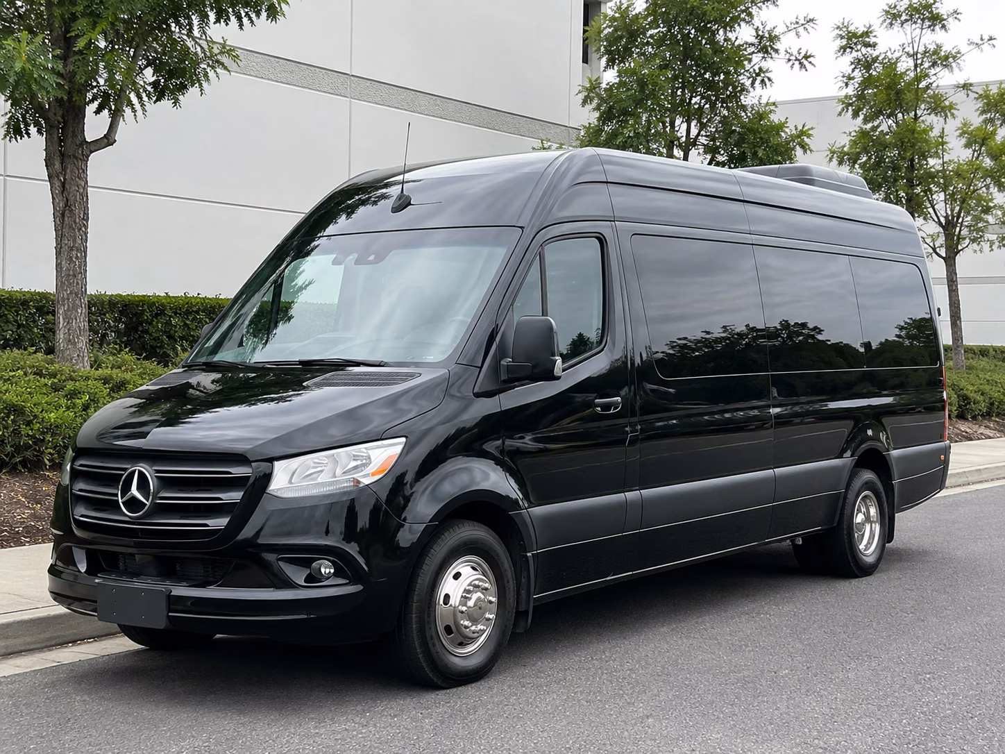 rochester 15 passenger sprinter van